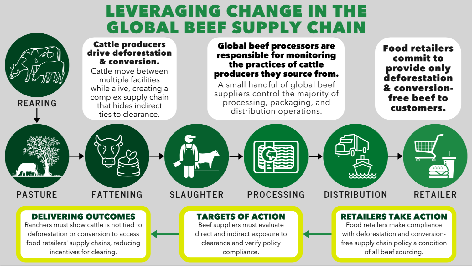 Beef Deforestation Scorecard