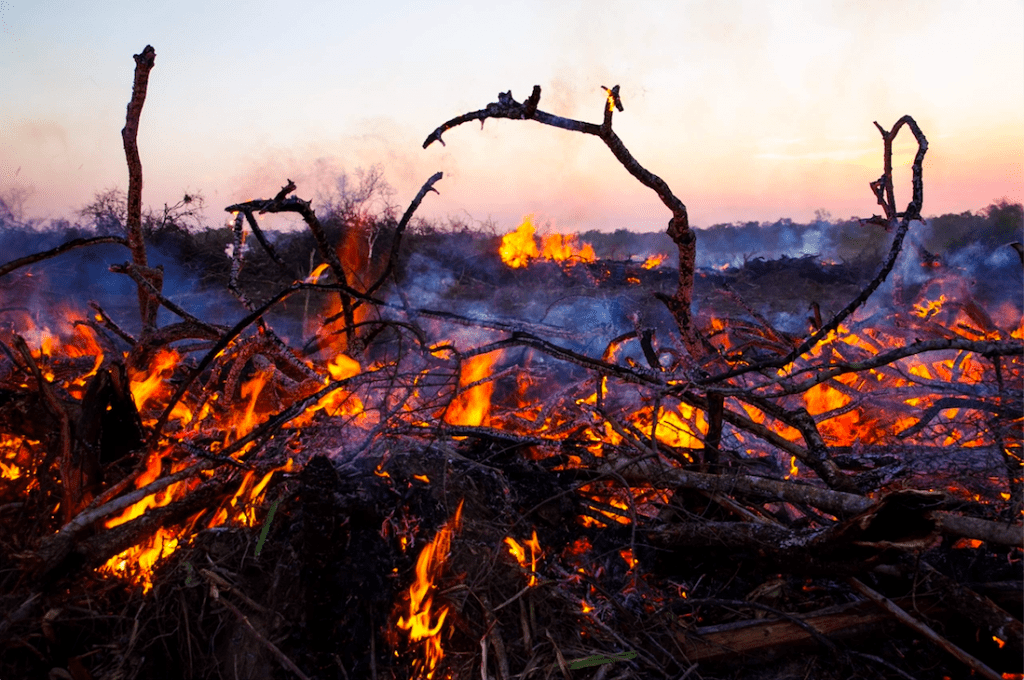 Fires burning in Bolivia