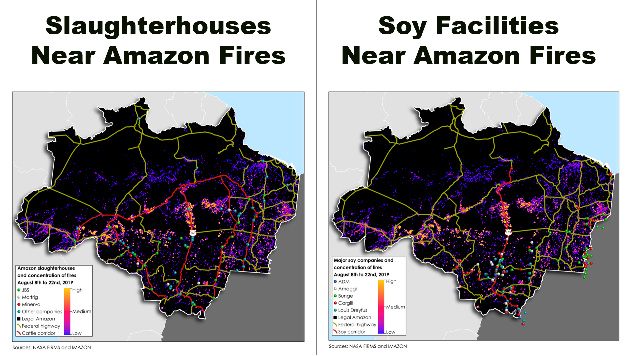 The Companies Behind The Burning Of The Amazon