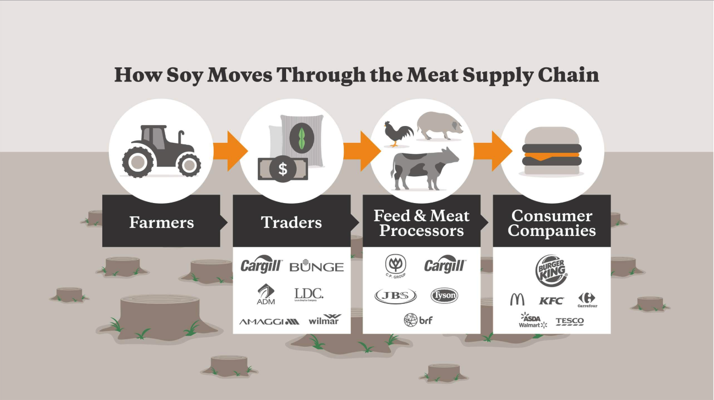 Climate change chain effect