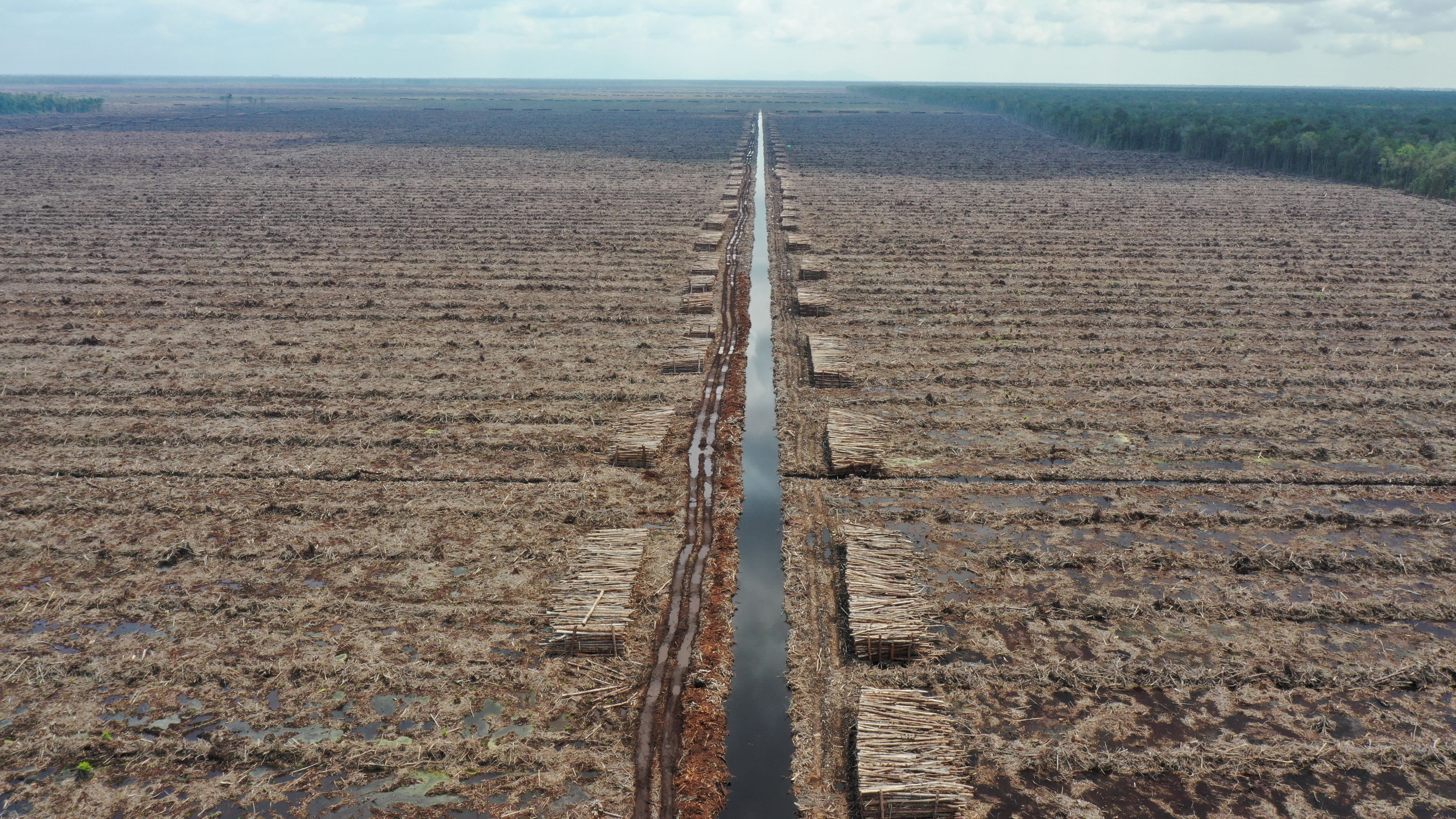 a deforested hillside